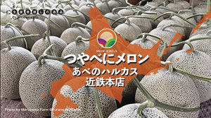 【出店情報】近鉄百貨店本店「北海道どさんこプラザ」に登場します！