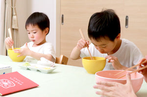 SETOUCHI UDON KIT